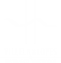 Villela-e-Lopes